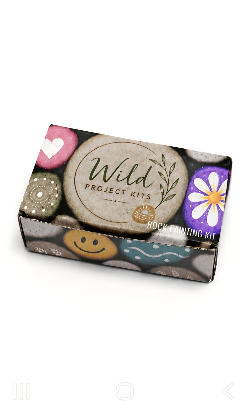 Rock Painting Kit
