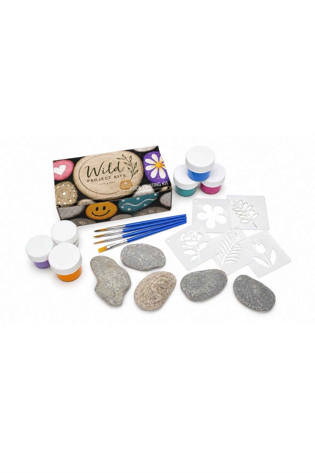 Rock Painting Kit