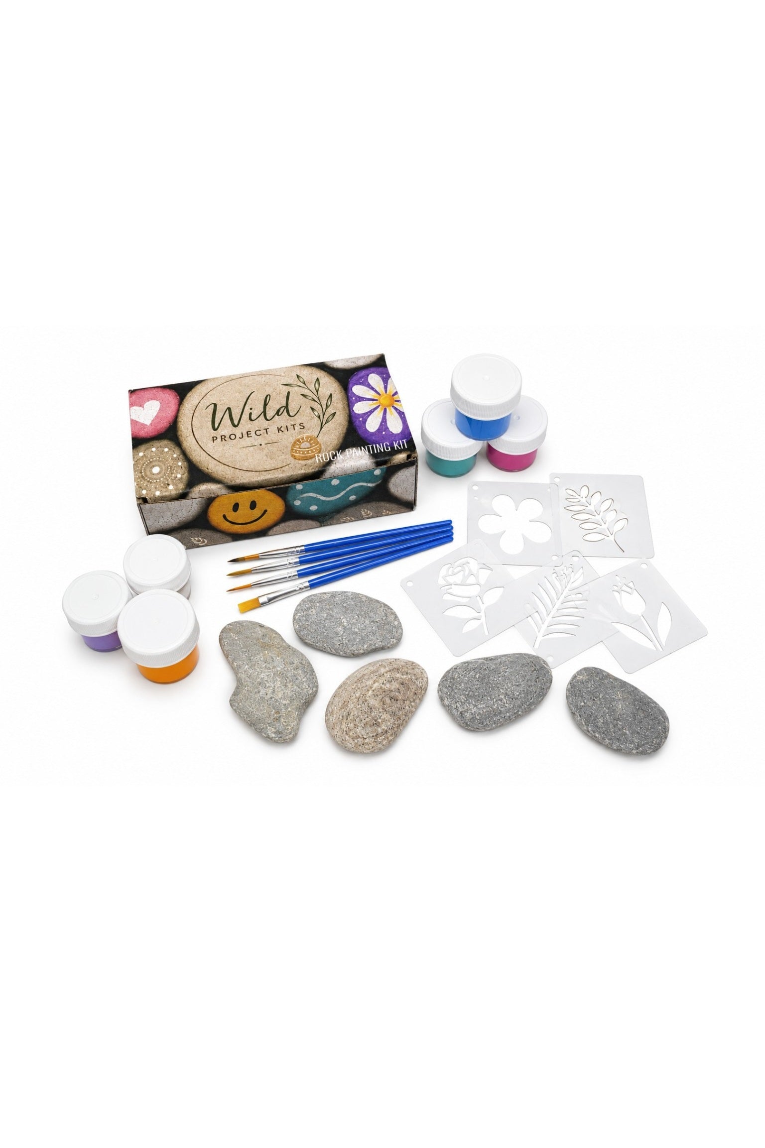 Rock Painting Kit
